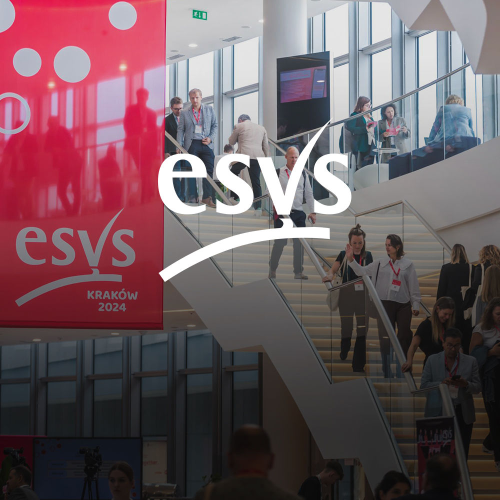 ESVS SEO Case Study