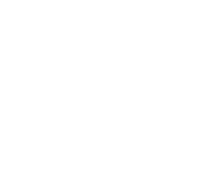 ESVS SEO Case Study